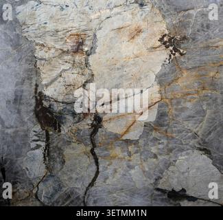 Horizontal close up view of a gray veined granite slab with mottled gray areas, white and black mineral veins Stock Photo