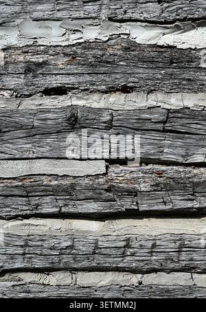 Vertical close up of weathered flat log cabin logs with natural patina, cracked uneven wood, cut marks, porous chinking Stock Photo