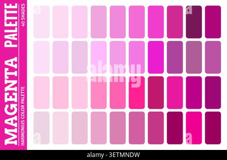 Magenta color palette collection with 40 harmonious shades ranging from light pink to vibrant magenta. Organized color swatches with coordinated tones and gradients for web design or fashion projects Stock Vector