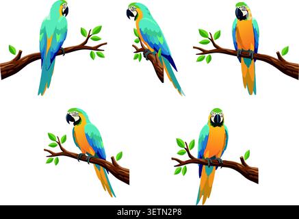 Colorful Macaw Parrots Perched on Branches Isolated on White Background Stock Vector