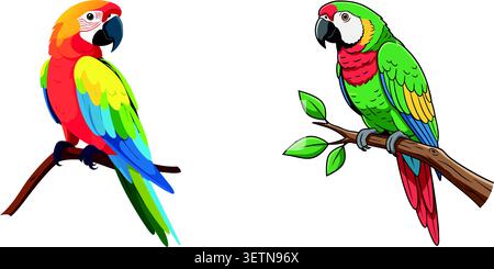 Colorful Macaw Parrots Perched on Branches Isolated on White Background Stock Vector