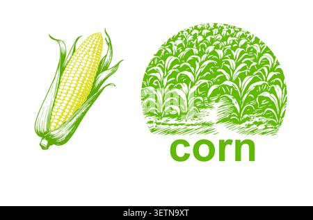 Corn and cornfield object. Label logo. Hand drawn. Not AI, vector illustration. Stock Vector