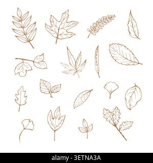 Whimsy set of different autumn leaves  Stock Vector