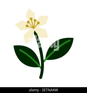 Minimalist Stylized White Flower Vector Illustration with Leaves Stock Vector