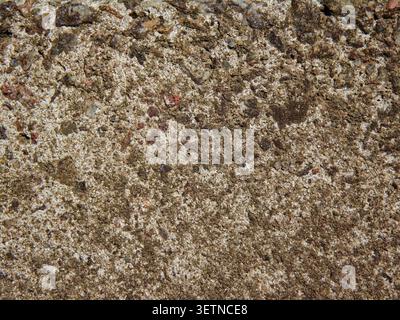 Natural rough concrete texture photographed in macro with fine grain and realistic surface detail. Perfect for backgrounds and architectural projects. Stock Photo