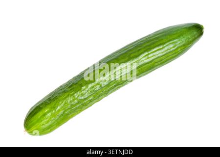 One long greenhouse cucumber isolated on white background. Fresh cucumber close-up. Stock Photo