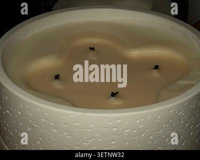 Macro high angle close up view of a cooled cream wax four wick candle in a textured white ceramic pot showing burnt wicks Stock Photo