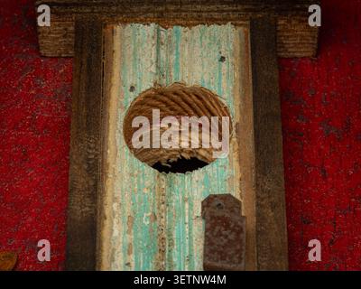 Macro closeup of a round entrance hole bored into weathered teal wood paneling on a distressed bright red painted rustic background Stock Photo