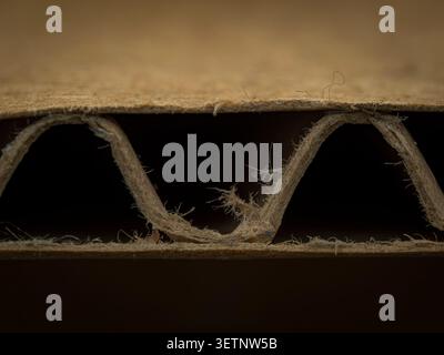 Macro close up showing the corrugated wavy layer fluting texture and fiber detail of a brown paper cardboard box edge section Stock Photo