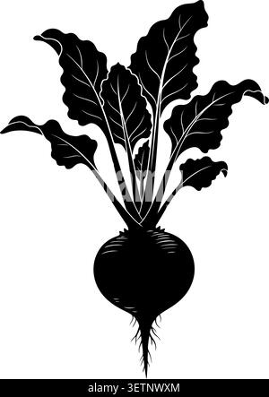 A detailed black and white vector illustration showcasing a beetroot plant with broad, wavy leaves and a round bulbous root. Stock Vector