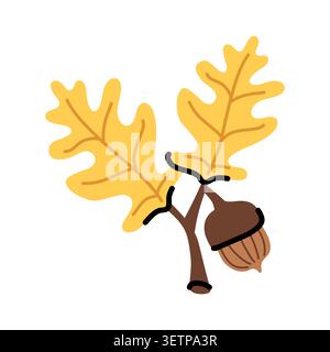 Oak leaf and acorn branch vector illustration isolated on white. Autumn yellow foliage element. Hand drawn fall forest seed icon Stock Vector