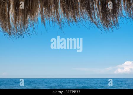 dry palm branches on background of blurred sea Stock Photo