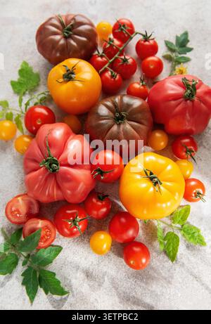 Freshly picked heirloom and cherry tomatoes in various colors on a light background Stock Photo