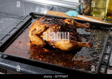 Roasted chicken on a dirty baking tray with grease and burnt bits after cooking Stock Photo