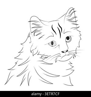 A sad cat's head in a linear style. Vector illustration isolated on a white background. Stock Vector