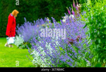 Out of focus images of colourful flowers simular to a Monet Impressionist painting. Stock Photo