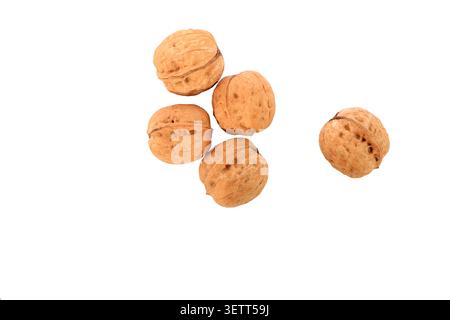 Five whole walnuts with textured, warm brown shells are arranged in a loose cluster, alongside a single walnut, against a plain light gray background, Stock Photo