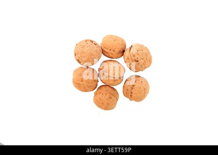 Eight whole walnuts with textured, warm brown shells are arranged in a neat cluster against a plain, neutral light gray background, showcasing their n Stock Photo