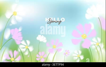 Hello spring vector background with white and pink cosmos flowers. Soft pastel watercolor floral template on sunny blue sky for greeting card, wedding Stock Vector