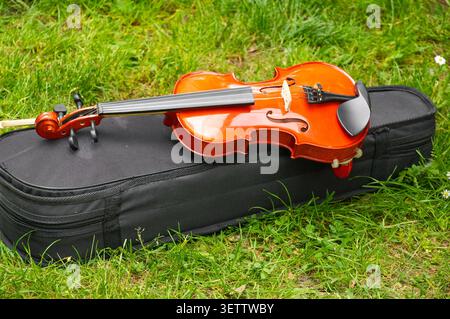 Violin and black case on green grass, close-up photo. Musical instrument. Stock Photo