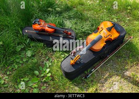 Children's violin and bow on the grass in the park, top view. Musical instrument. Stock Photo