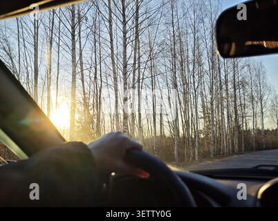 A hand grips the steering wheel as the car drives down a road with trees on either side and the sun setting in the distance. Stock Photo