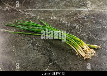 Fresh green onions with vibrant green stalks white bulbs resting on dark veined marble. Natural lighting highlights texture color contrast. Ideal for Stock Photo