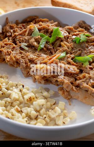 A view of a plate of pulled chicken, topped with scallion. Stock Photo