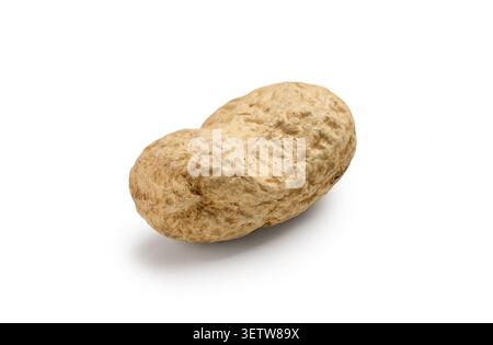 Single peanut in shell isolated on a white background. Close-up of a natural peanut pod with detailed texture, ideal for food, agriculture, nutrition, Stock Photo
