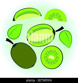 Flat vector ripe green kiwi set Stock Vector