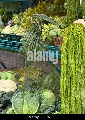 Fresh green vegetables displayed on a market stand with various leafy options in abundance. Mobile photo Stock Photo