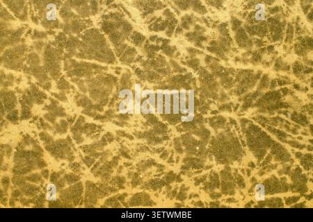 Distressed textures of old book covers, macro. Stock Photo