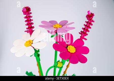 Latvia, Jurmala - 20.06.2026: Lego Cosmos Flowers. Different types of flowers made from plastic building blocks stand together on a plain background Stock Photo