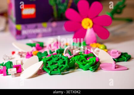 Latvia, Jurmala - 20.06.2026: Lego Cosmos Flowers, on background box. Colorful Lego parts scattered on a table with a flower piece in the center and a Stock Photo