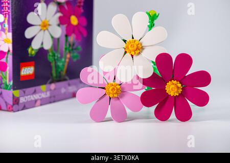 Latvia, Jurmala - 20.06.2026: Lego Cosmos Flowers. Colorful flowers made from Lego bricks on a plain surface with a box in the background Stock Photo