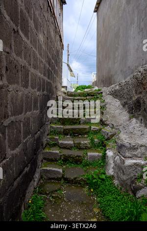 Narrow stone alleyway with moss-covered steps. Walls made of aged brick and concrete. Green vegetation grows between stones and along edges Stock Photo