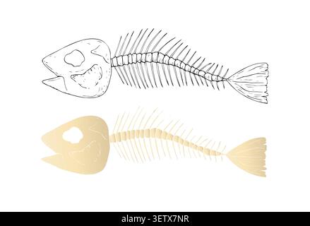 Vector Fish skeleton set. Graphic tropical fish hand drawn illustration isolated on background. Zero waste, sustainable living concept. For designer Stock Vector