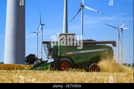 Sieversdorf, Germany. 24th June, 2026. A farmer is harvesting barley with a combine harvester. The weather in Germany remains sweltering. The German Weather Service (DWD) forecasts extreme heat in the west and southwest·which is spreading northward·not just for today. According to the forecast, high temperatures in the north will range from 27 to 34 degrees, while the rest of the country is expected to see temperatures between 32 and 39 degrees. Credit: Patrick Pleul/dpa/Ģ����ý Live News Stock Photo