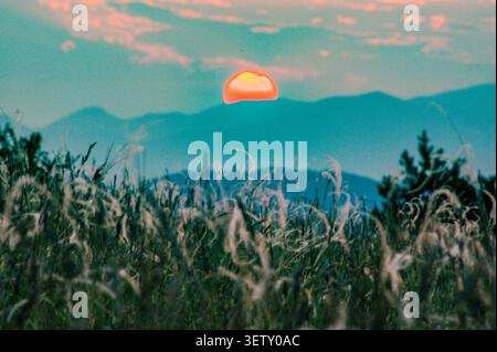 Distorted orange sun setting over mountains and a field of fescue grass during a heatwave Stock Photo