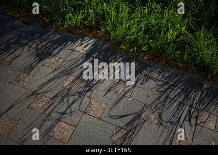 Grass shadows on stone paving tile road near green backyard lawn. Concept: landscaping design Stock Photo
