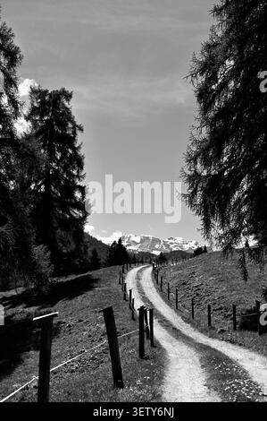 A beautiful vertical black and white landscape capturing a rustic dirt road winding through a countryside valley toward distant peaks of the Dolomite Stock Photo