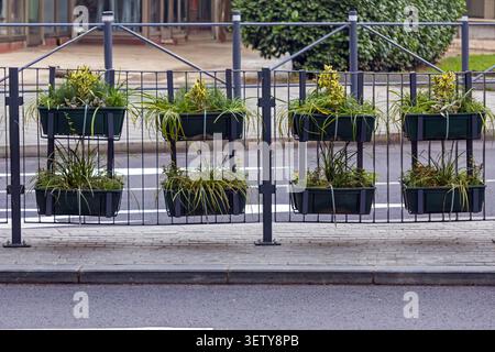 Green plants inside plastic flower pots on metal fence In middle of urban street Stock Photo