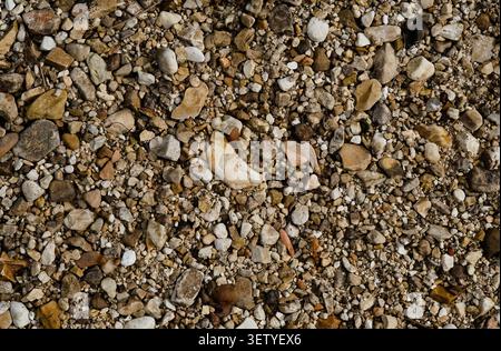 Close-up texture of mixed river gravel and pebbles forming a natural background pattern along a riverbank. Stock Photo
