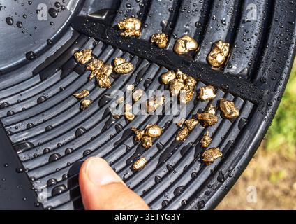 Pieces of gold nuggets on a black gold pan against the backdrop of a mountain river. Concept of gold mining and adventurous spirit. Stock Photo