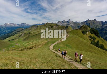 Groups of hikers follow a winding Stoos ridge path toward jagged Alpine peaks, the trail rolling endlessly over sculpted green summits Stock Photo
