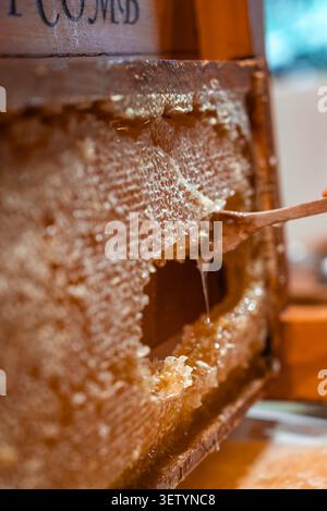 Honeycomb frame tapped with spoon, fresh honey dripping from comb Stock Photo