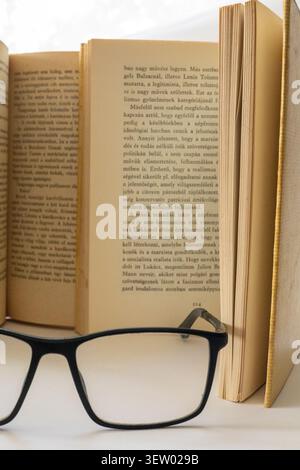 Antique Hungarian Book with Weathered Leather Cover and Aged Pages. Reading, read, glass, book Stock Photo