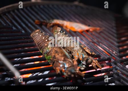 Spiny lobster tails and prawn sizzle on coals at Maldives beach grill Stock Photo