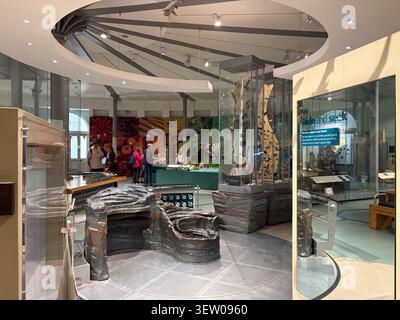 Visitors viewing natural history and historical collections inside Leeds City Museum, West Yorkshire, England. Stock Photo