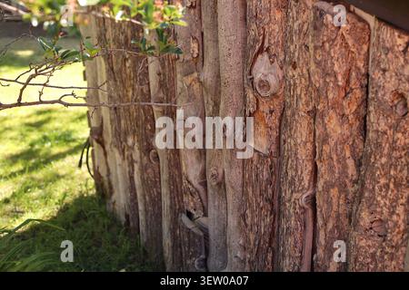 Weathered log wall constructed from natural tree trunks on a rustic historic building in Helena, Montana, USA. Stock Photo
